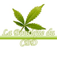 LA BOUTIQUE DU CBD LAPEYRERE 